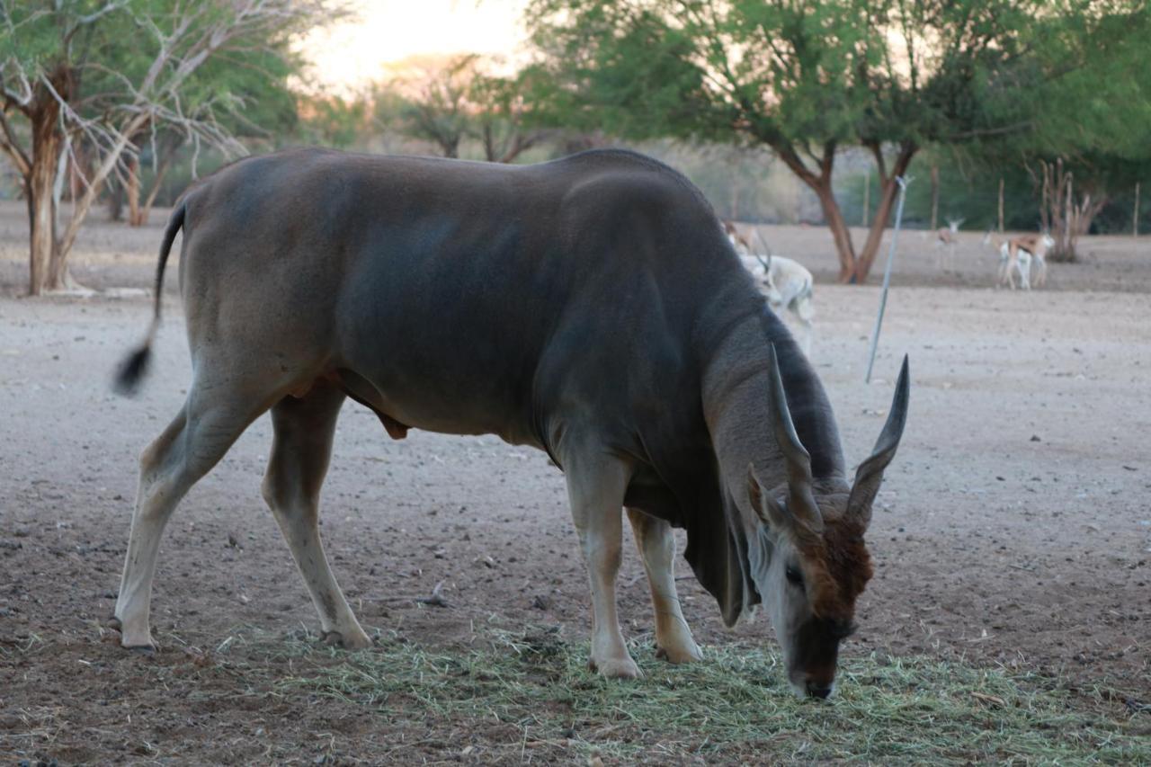 Maritz Country Lodge Keetmanshoop Exteriör bild